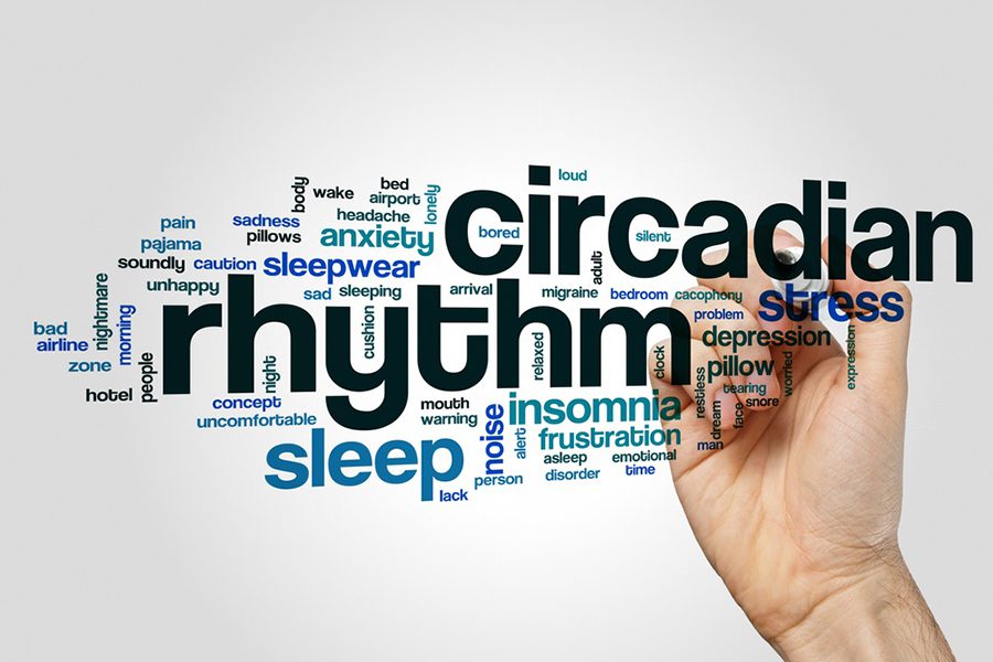 A hand writing on a word cloud with the words circadian rhythm.